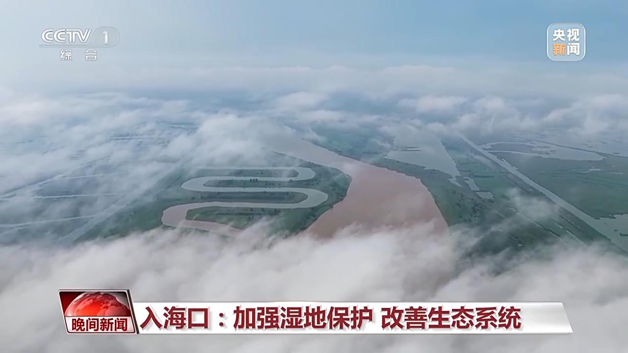 蜕变之痛__美丽蜕变的诗句