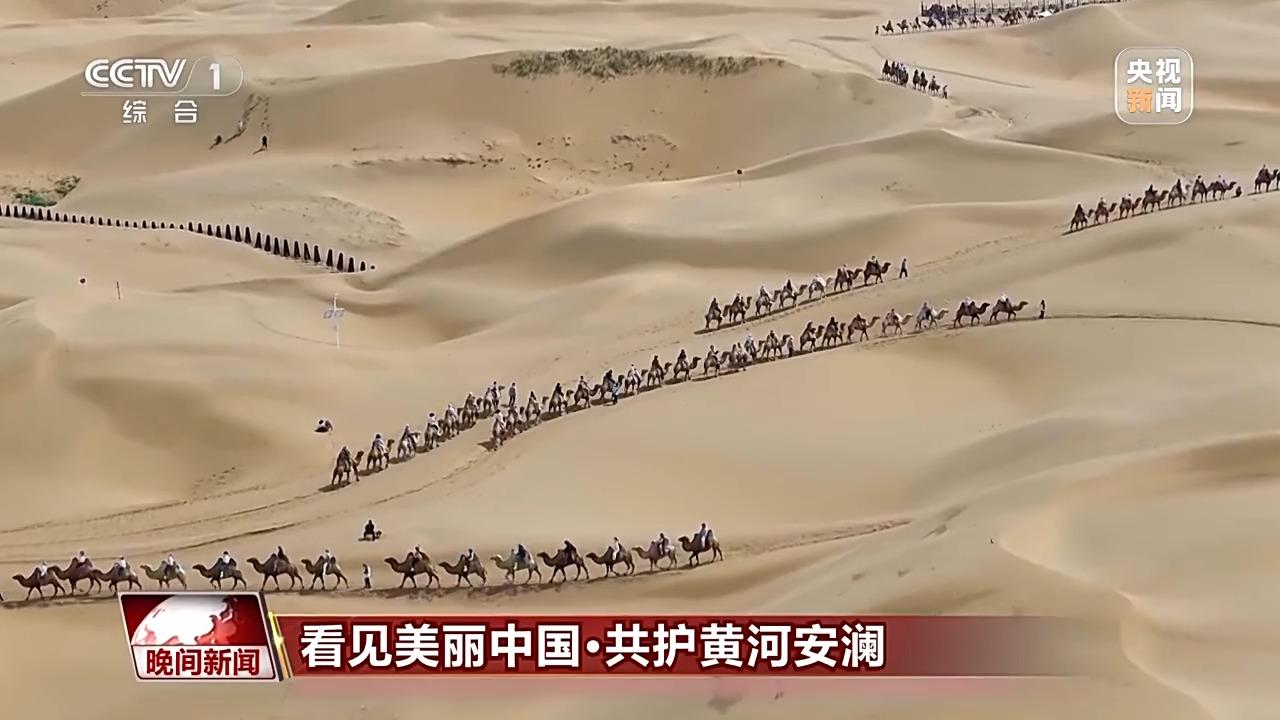 蜕变之痛__美丽蜕变的诗句
