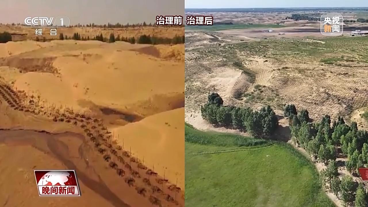 _美丽蜕变的诗句_蜕变之痛