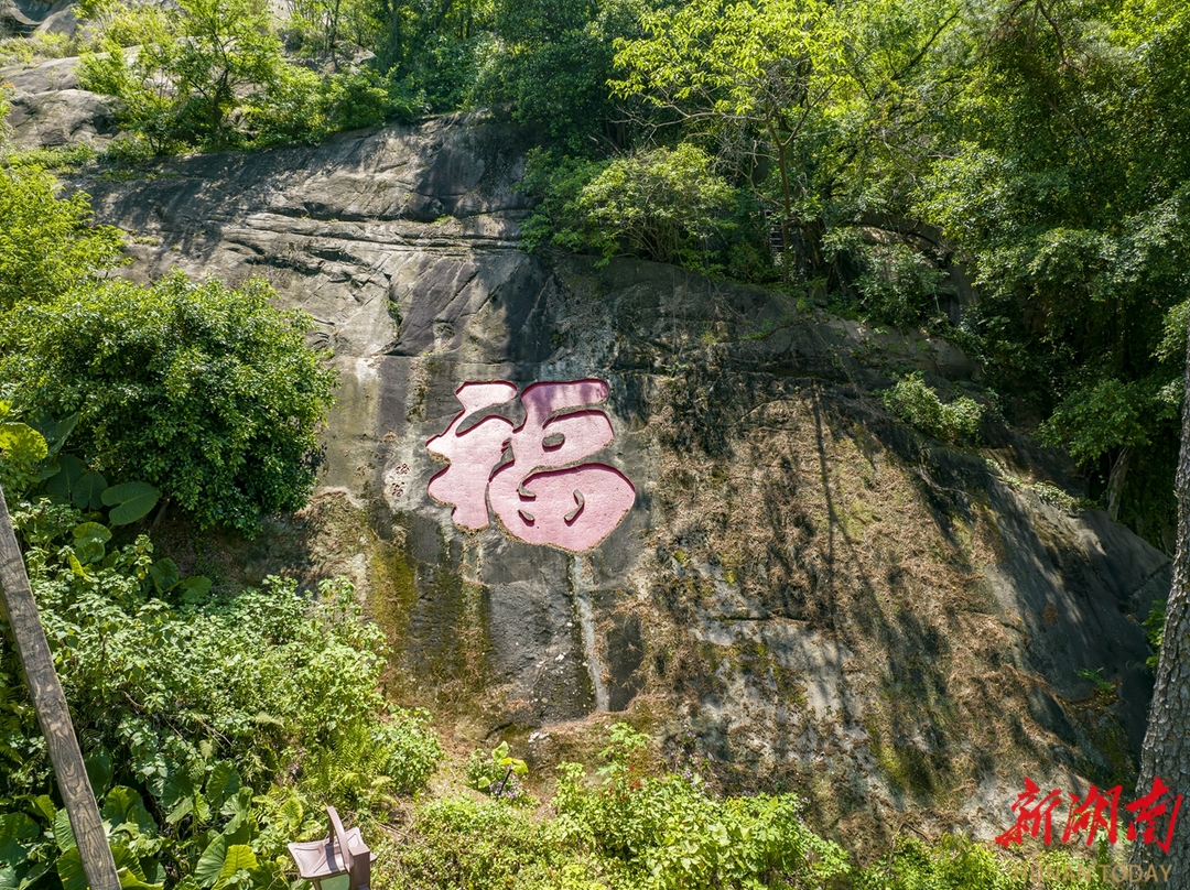 唯爱你一人什么意思__补偿学费申请表